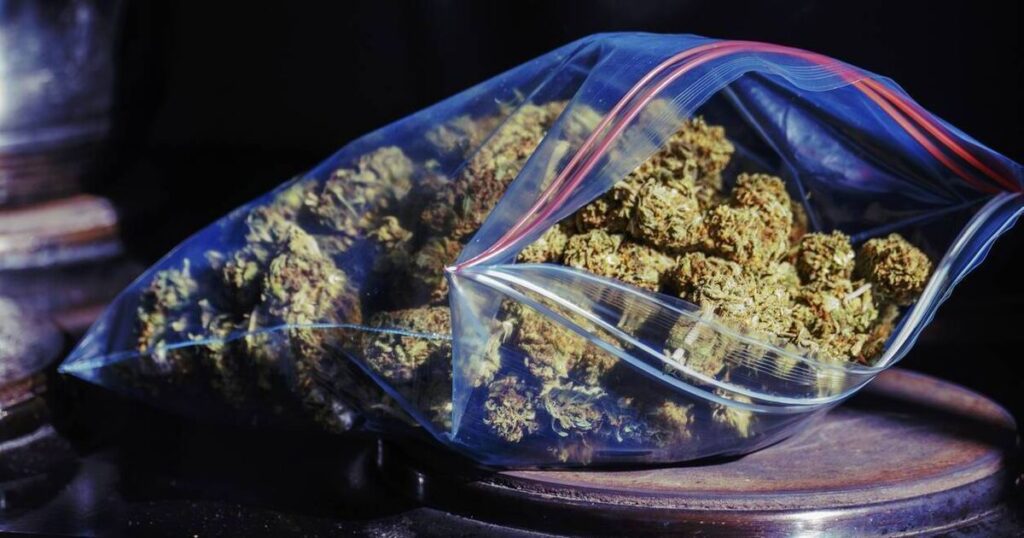 Truck driver 'maintaining his innocence' over €2.1m cannabis seizure in Cork, court told